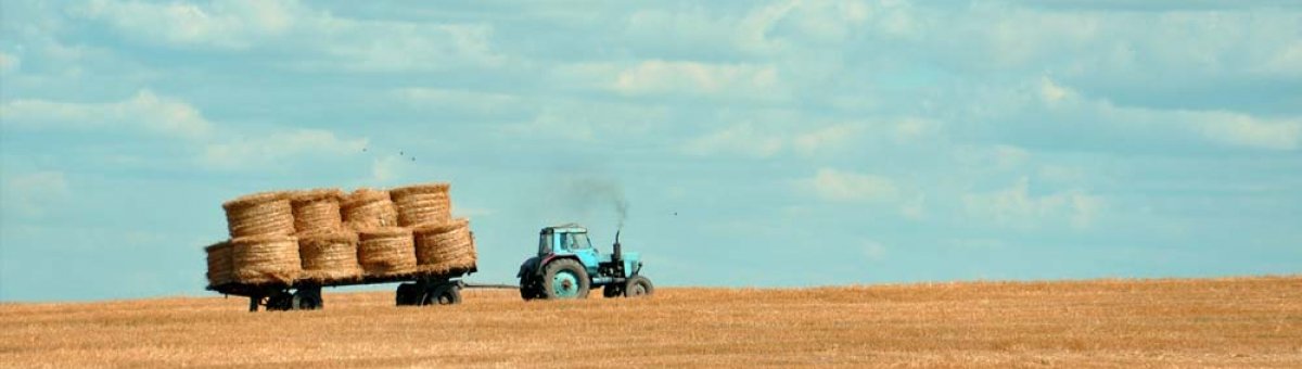 Curabitur ac neque at arcu.