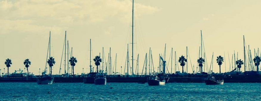 Integer posuere volutpat nulla eu placerat.