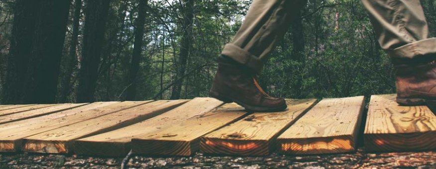 Pellentesque habitant morbi tristique senectus et netus.