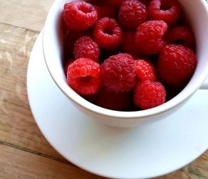 Mauris Accumsan Dignissim