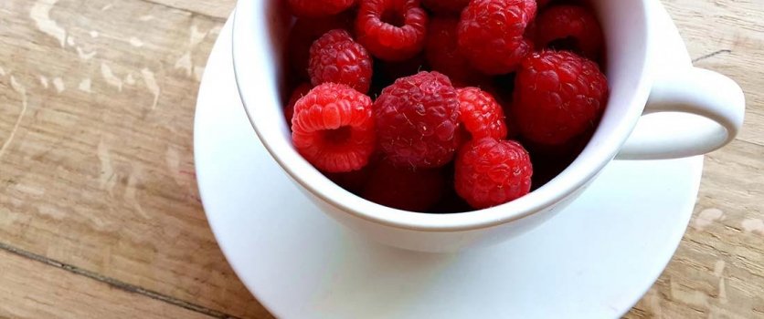 Mauris Accumsan Dignissim